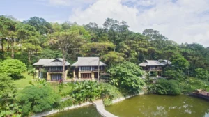 Melia Ba Vì Mountain Retreat – Nghỉ dưỡng giữa rừng thông