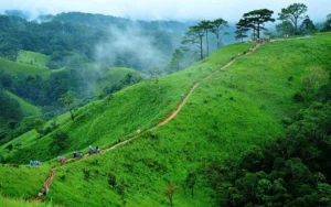 Tà Năng – Phan Dũng: Cung đường trekking đẹp nhất Việt Nam